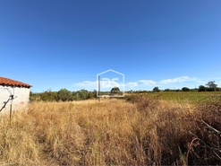 Quinta T0 - Ladoeiro, Idanha-a-Nova, Castelo Branco - Miniatura: 4/12