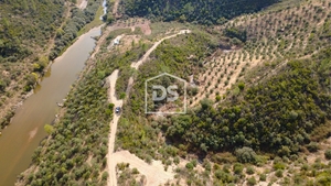 Terreno Rstico T0 - Sarzedas, Castelo Branco, Castelo Branco - Miniatura: 3/3