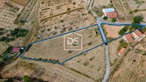 Terreno Rstico T0 - Sarzedas, Castelo Branco, Castelo Branco - Miniatura: 1/6