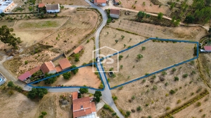 Terreno Rstico T0 - Sarzedas, Castelo Branco, Castelo Branco - Miniatura: 2/6