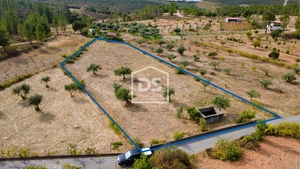 Terreno Rstico T0 - Sarzedas, Castelo Branco, Castelo Branco - Miniatura: 5/6