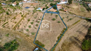 Terreno Rstico T0 - Sarzedas, Castelo Branco, Castelo Branco - Miniatura: 6/6