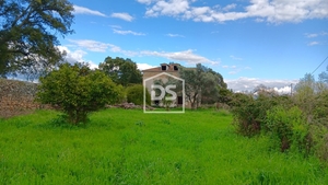 Terreno Rstico T0 - Medelim, Idanha-a-Nova, Castelo Branco