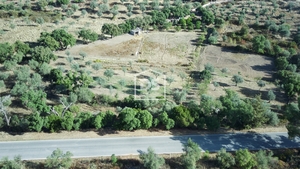 Terreno Rstico T0 - Monforte da Beira, Castelo Branco, Castelo Branco - Miniatura: 2/24
