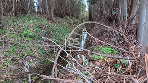 Terreno Rstico T0 - Medelim, Idanha-a-Nova, Castelo Branco - Miniatura: 7/24