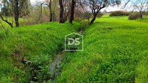 Terreno Rstico T0 - Medelim, Idanha-a-Nova, Castelo Branco - Miniatura: 8/24