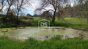 Terreno Rstico T0 - Medelim, Idanha-a-Nova, Castelo Branco - Miniatura: 9/24