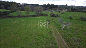 Terreno Rstico T0 - Medelim, Idanha-a-Nova, Castelo Branco - Miniatura: 19/24