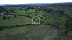 Terreno Rstico T0 - Medelim, Idanha-a-Nova, Castelo Branco - Miniatura: 21/24