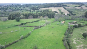 Terreno Rstico T0 - Medelim, Idanha-a-Nova, Castelo Branco - Miniatura: 22/24