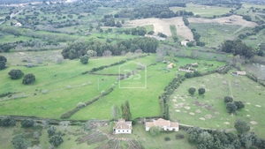 Terreno Rstico T0 - Medelim, Idanha-a-Nova, Castelo Branco - Miniatura: 23/24