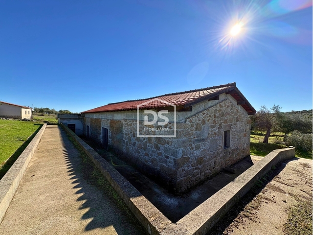 Terreno Rstico T0 - Escalos de Baixo, Castelo Branco, Castelo Branco - Imagem grande