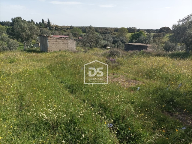Moradia T2 - S�o Vicente da Beira, Castelo Branco, Castelo Branco - Imagem grande