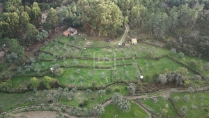 Terreno Rstico T0 - Lourial do Campo, Castelo Branco, Castelo Branco - Miniatura: 1/16