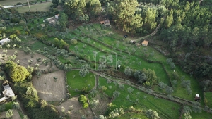 Terreno Rstico T0 - Lourial do Campo, Castelo Branco, Castelo Branco - Miniatura: 2/16