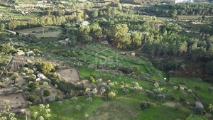 Terreno Rstico T0 - Lourial do Campo, Castelo Branco, Castelo Branco - Miniatura: 4/16
