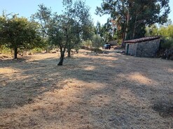 Terreno Rstico T0 - Lourial do Campo, Castelo Branco, Castelo Branco - Miniatura: 5/16