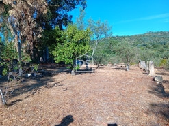 Terreno Rstico T0 - Lourial do Campo, Castelo Branco, Castelo Branco - Miniatura: 6/16