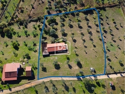 Terreno Rstico T0 - Escalos de Baixo, Castelo Branco, Castelo Branco - Miniatura: 1/23