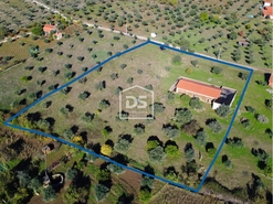 Terreno Rstico T0 - Escalos de Baixo, Castelo Branco, Castelo Branco - Miniatura: 2/23