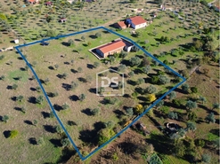 Terreno Rstico T0 - Escalos de Baixo, Castelo Branco, Castelo Branco - Miniatura: 3/23