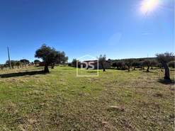 Terreno Rstico T0 - Escalos de Baixo, Castelo Branco, Castelo Branco - Miniatura: 4/23