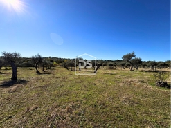 Terreno Rstico T0 - Escalos de Baixo, Castelo Branco, Castelo Branco - Miniatura: 5/23