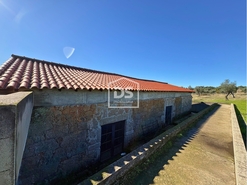 Terreno Rstico T0 - Escalos de Baixo, Castelo Branco, Castelo Branco - Miniatura: 22/23