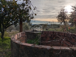 Terreno Rstico T0 - Ninho do Aor, Castelo Branco, Castelo Branco - Miniatura: 1/16