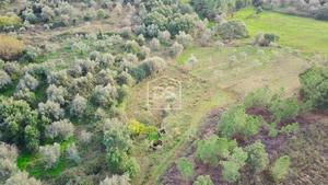 Terreno Rstico T0 - Ninho do Aor, Castelo Branco, Castelo Branco - Miniatura: 4/16