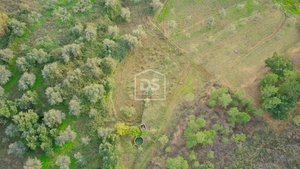 Terreno Rstico T0 - Ninho do Aor, Castelo Branco, Castelo Branco - Miniatura: 5/16
