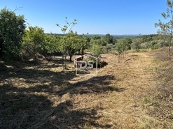 Terreno Rstico T0 - Ninho do Aor, Castelo Branco, Castelo Branco - Miniatura: 8/16
