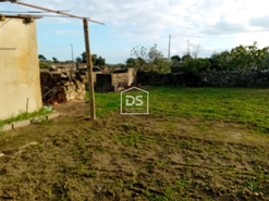 Quinta T1 - Zebreira, Idanha-a-Nova, Castelo Branco - Miniatura: 11/18