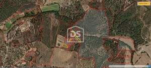 Terreno Rstico T0 - Ninho do Aor, Castelo Branco, Castelo Branco - Miniatura: 1/7