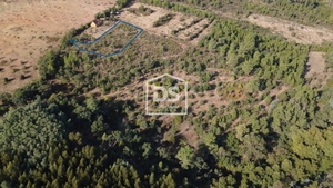 Terreno Rstico T0 - Ninho do Aor, Castelo Branco, Castelo Branco - Miniatura: 2/7