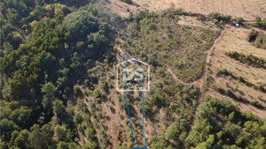 Terreno Rstico T0 - Ninho do Aor, Castelo Branco, Castelo Branco - Miniatura: 5/7