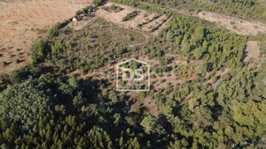 Terreno Rstico T0 - Ninho do Aor, Castelo Branco, Castelo Branco - Miniatura: 6/7