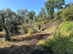Terreno Rstico T0 - Ninho do Aor, Castelo Branco, Castelo Branco