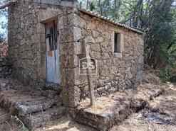 Terreno Rstico T0 - Escalos de Cima, Castelo Branco, Castelo Branco