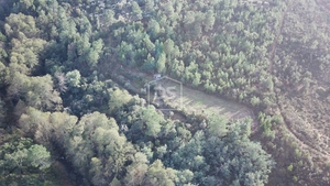 Terreno Rstico T0 - Ninho do Aor, Castelo Branco, Castelo Branco - Miniatura: 4/24