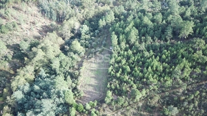 Terreno Rstico T0 - Ninho do Aor, Castelo Branco, Castelo Branco - Miniatura: 6/24