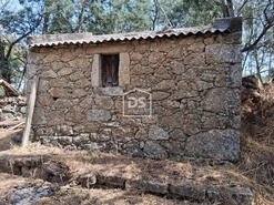 Terreno Rstico T0 - Escalos de Cima, Castelo Branco, Castelo Branco - Miniatura: 8/12