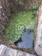 Terreno Rstico T0 - Escalos de Cima, Castelo Branco, Castelo Branco - Miniatura: 12/12