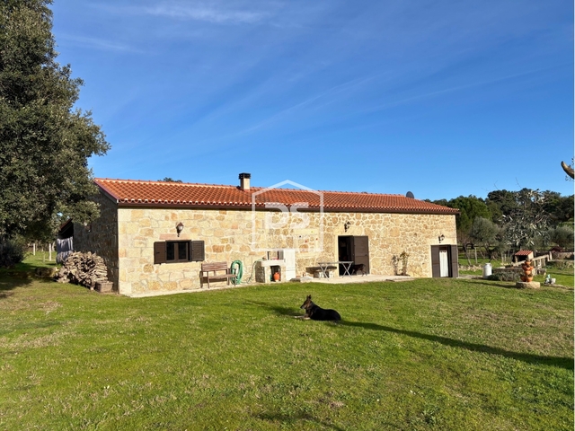 Quinta T3 - Escalos de Cima, Castelo Branco, Castelo Branco - Imagem grande