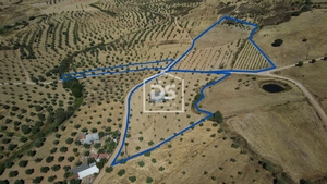 Terreno Rstico T0 - Perais, Vila Velha de Rdo, Castelo Branco