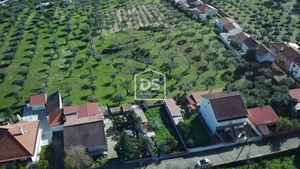 Terreno Rstico T0 - Tinalhas, Castelo Branco, Castelo Branco - Miniatura: 1/14