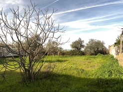 Moradia T4 - Castelo Branco, Castelo Branco, Castelo Branco - Miniatura: 5/24