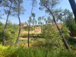 Terreno Rstico T0 - Oleiros, Oleiros, Castelo Branco - Miniatura: 2/10