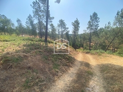 Terreno Rstico T0 - Oleiros, Oleiros, Castelo Branco - Miniatura: 5/10