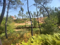 Terreno Rstico T0 - Oleiros, Oleiros, Castelo Branco - Miniatura: 7/10